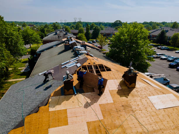 Best Storm Damage Roof Repair  in Orosi, CA