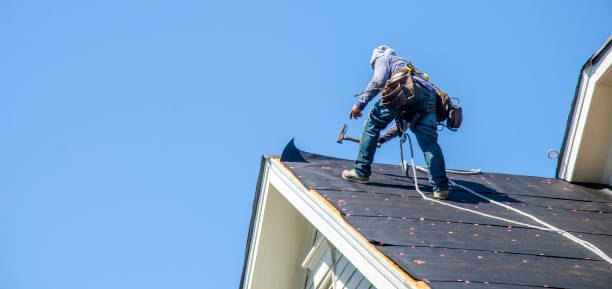 Best Roof Gutter Cleaning  in Orosi, CA